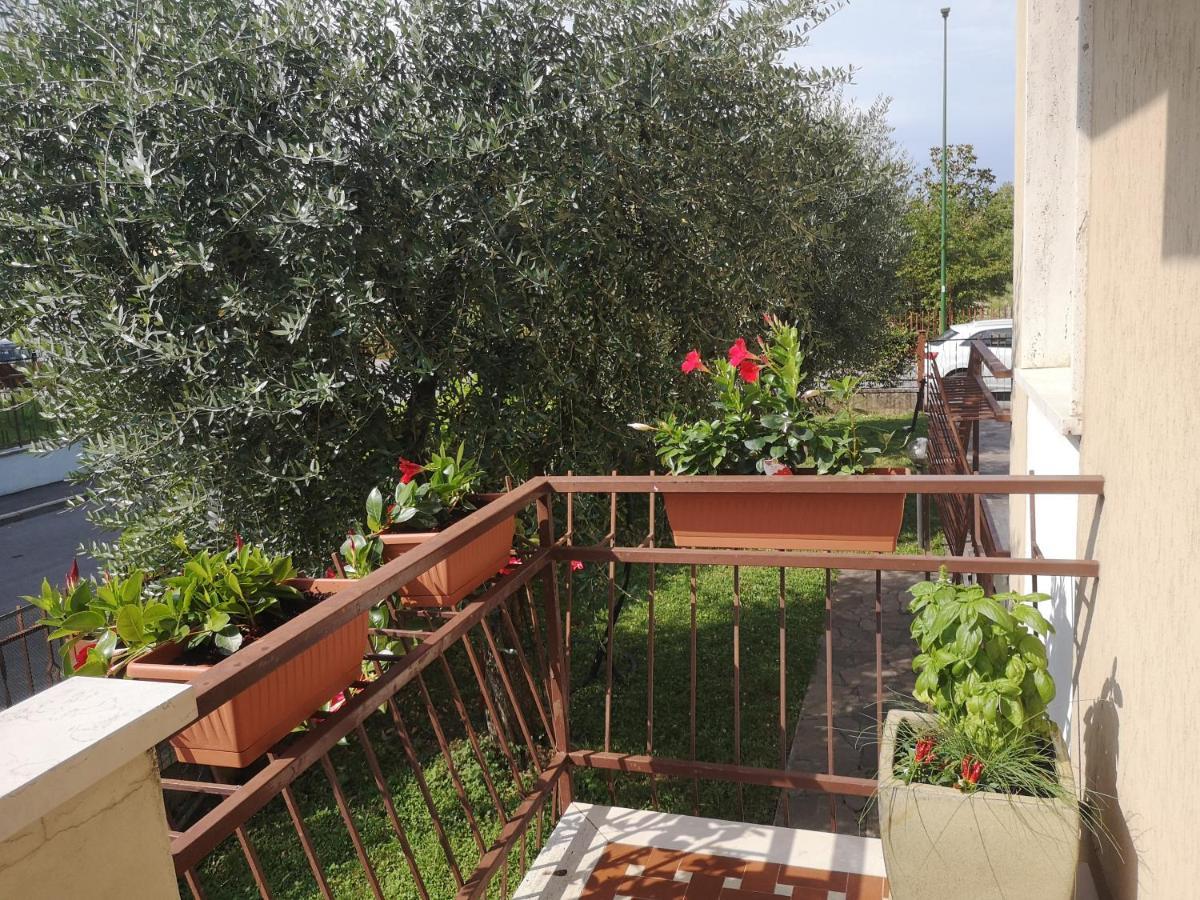 Ai Quattro Ulivi Peschiera del Garda Exterior foto