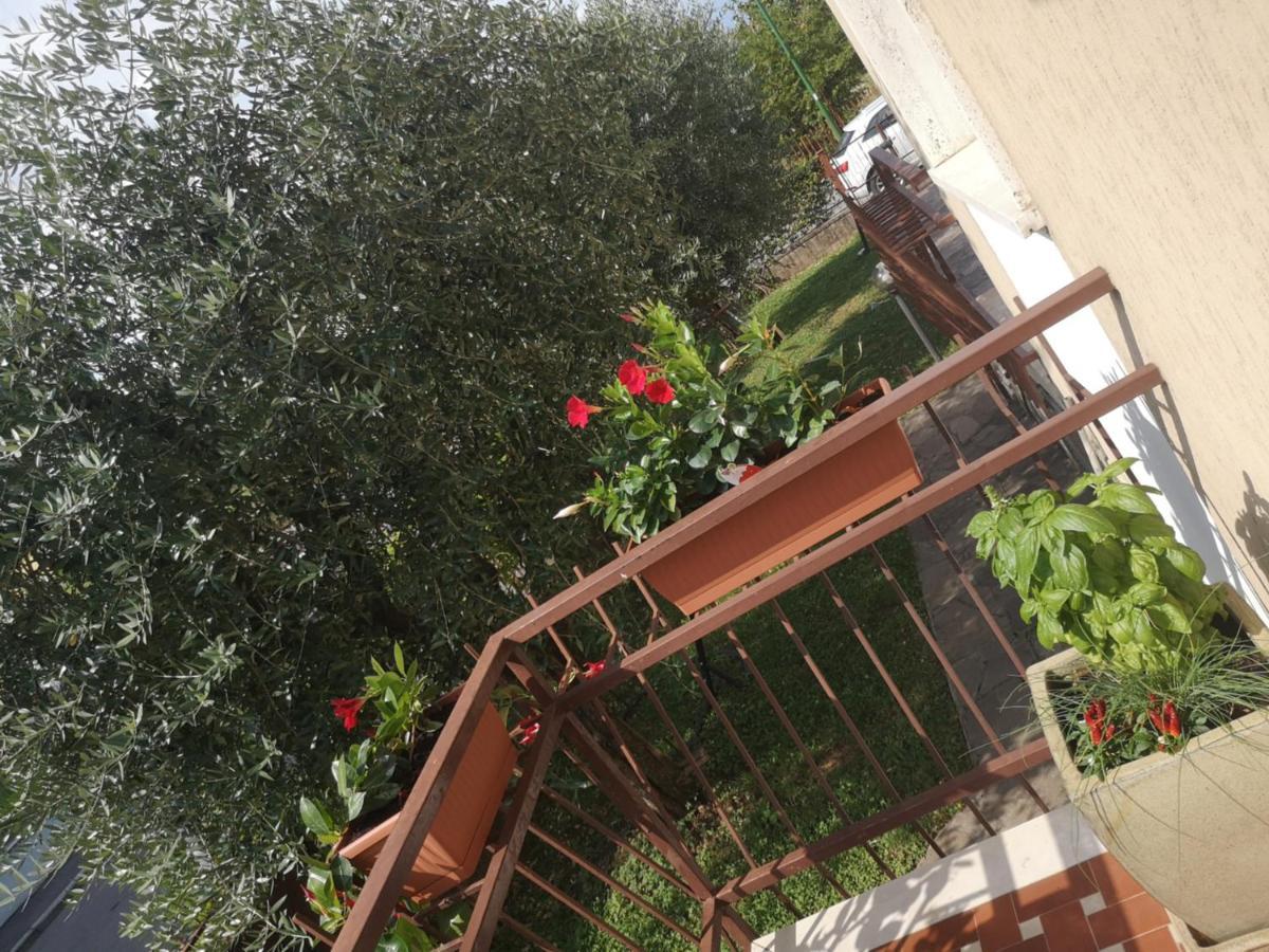 Ai Quattro Ulivi Peschiera del Garda Exterior foto